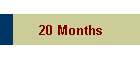 20 Months