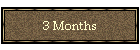 3 Months