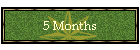 5 Months