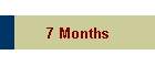 7 Months