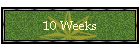 10 Weeks