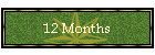12 Months