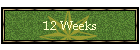 12 Weeks