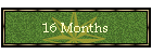16 Months
