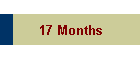 17 Months