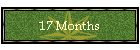 17 Months