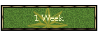 1 Week