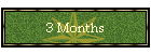 3 Months