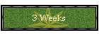 3 Weeks