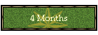 4 Months