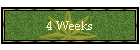 4 Weeks