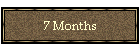 7 Months