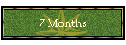 7 Months