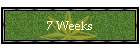 7 Weeks