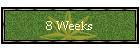 8 Weeks